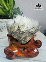 bong-hoa-uu-dam-da-tram-tich-cao-19-ngang-15-cm-19kg-445598