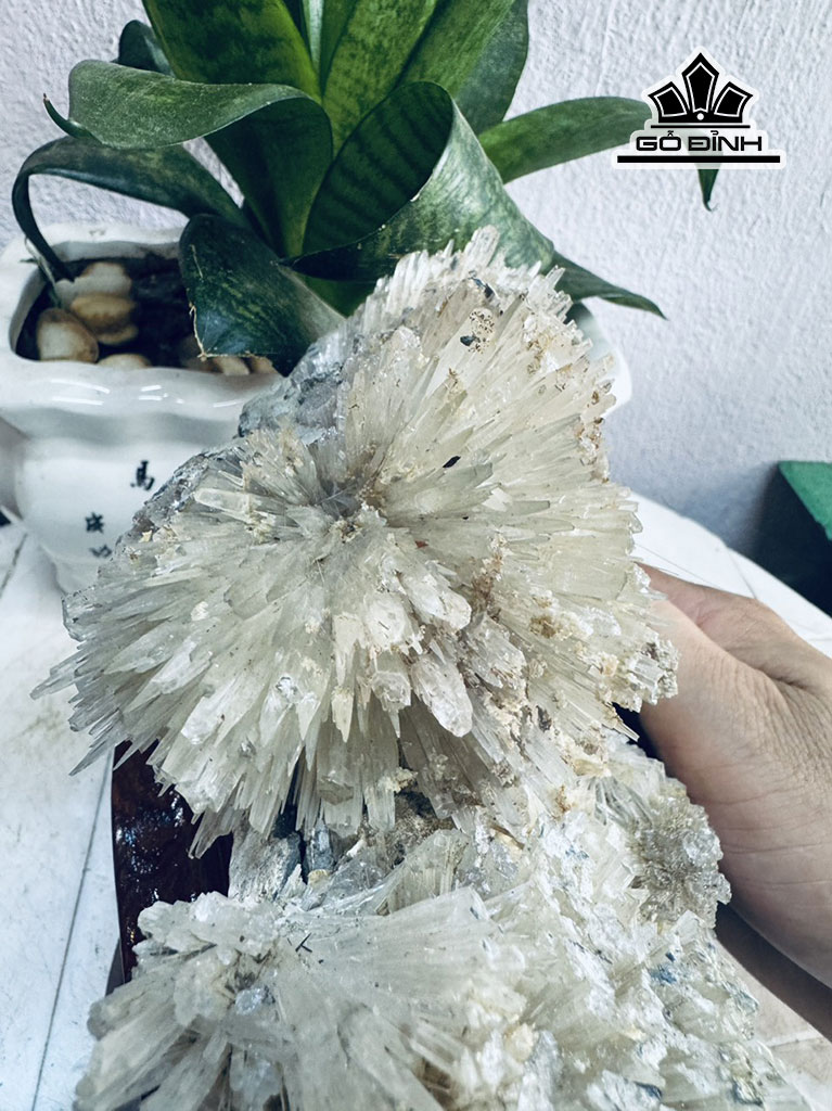 bong-hoa-uu-dam-da-tram-tich-cao-20-ngang-19-cm-2kg-445600