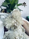 bong-hoa-uu-dam-da-tram-tich-cao-20-ngang-19-cm-2kg-445600