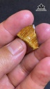mat-day-chuyen-da-thach-anh-toc-nau-dong-truc-mat-meo-cao-20-ngang-166-sau-68-mm-32g-445980