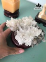 bong-hoa-uu-dam-da-tram-tich-cao-12-cm-446024