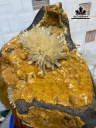 bong-hoa-uu-dam-da-tram-tich-cao-36-rieng-hoa-cao-11-va-8-cm-176kg-446140