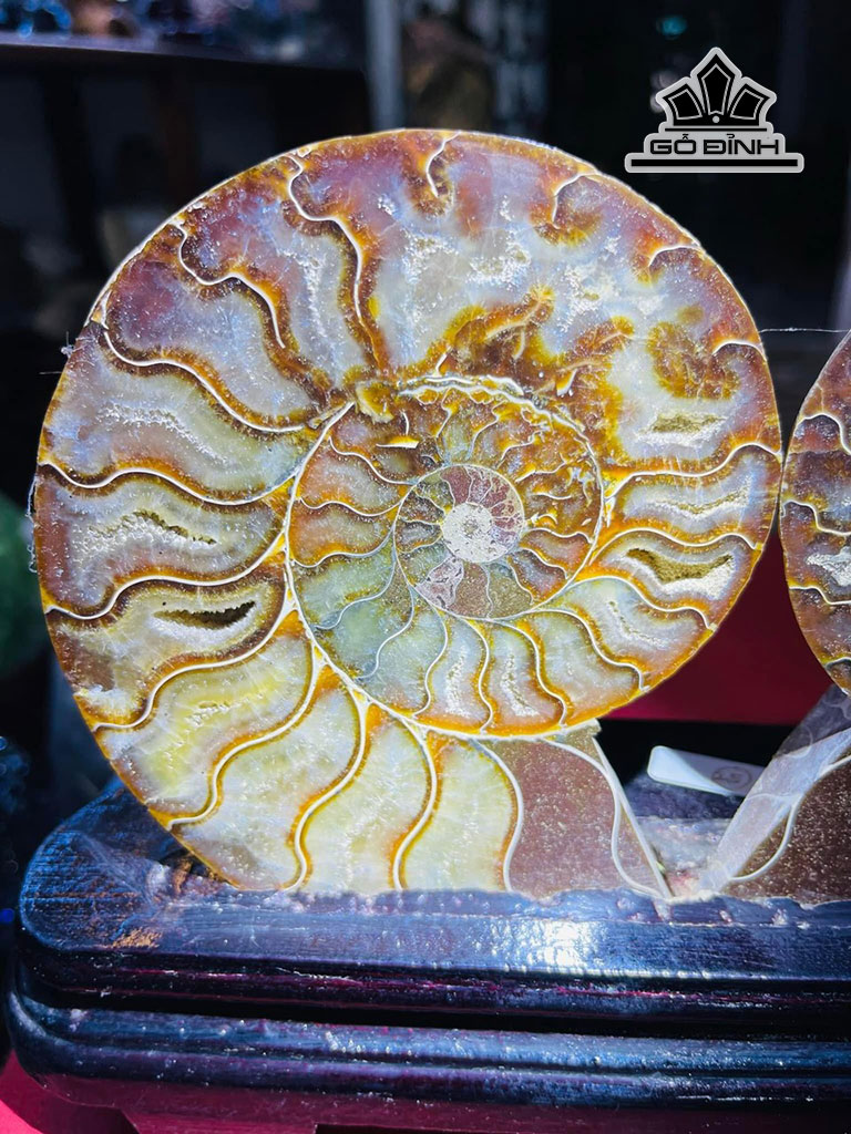 cap-oc-anh-vu-hoa-thach-cao-17-ngang-23-cm-11kg-448349