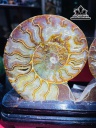 cap-oc-anh-vu-hoa-thach-cao-17-ngang-23-cm-11kg-448349