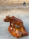 tuong-trau-go-huong-cao-31-ngang-34-sau-20-cm-457027