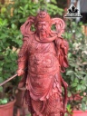tuong-quan-cong-go-cam-cao-77-ngang-25-sau-24-cm-460250