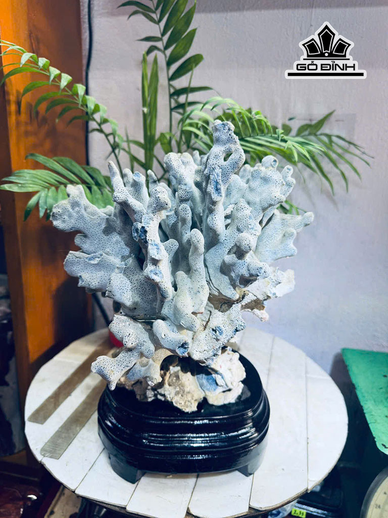 tac-pham-hoa-uu-dam-da-tram-tich-cao-58-ngang-50-cm-52kg-luon-de-460472
