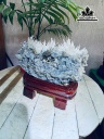 tac-pham-da-tram-tich-cao-18-ngang-19-cm-nang-15kg-460496
