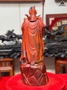 tuong-quan-cong-go-trac-cao-60-ngang-22-sau-20-cm-462111