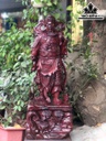 tuong-quan-cong-go-cam-cao-77-ngang-25-sau-24-cm-462269