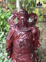tuong-quan-cong-go-cam-cao-77-ngang-25-sau-24-cm-462270