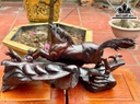 tuong-song-ma-uyen-uong-go-trac-cao-27-ngang-51-sau-28-cm-462534