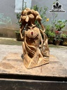 cu-nhan-sam-tai-loc-go-ngoc-am-cao-50-ngang-28-sau-20-cm-463537