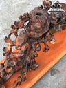 tuong-to-chim-go-trac-cao-14-ngang-50-sau-16-cm-ca-ky-cao-18-cm-464010