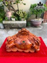 tuong-tam-coc-ngam-tien-go-huong-cao-28-ngang-42-sau-21-cm-464213