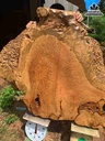 Mat-Ban-Nguyen-Khoi