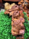 Tuong-Coc-ngam-tien-go-huong-