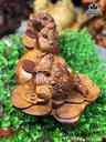 Tuong-Coc-ngam-tien-go-huong-