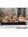 Tượng Tam Đa Phúc Lộc Thọ Gỗ Nu Bách Xanh  Cao 30 Ngang 23 Sâu 14 (cm)