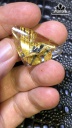 Mặt Trơn Hoa Thị Đá Thạch Anh Tóc Vàng Cao 21 Ngang 31 Sâu 6,5 (mm) 5,8gr
