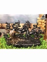 Tượng Chậu Mai Điểu Gỗ Mun Sừng  Cao 34 Rộng 55 Dày 20 (cm)