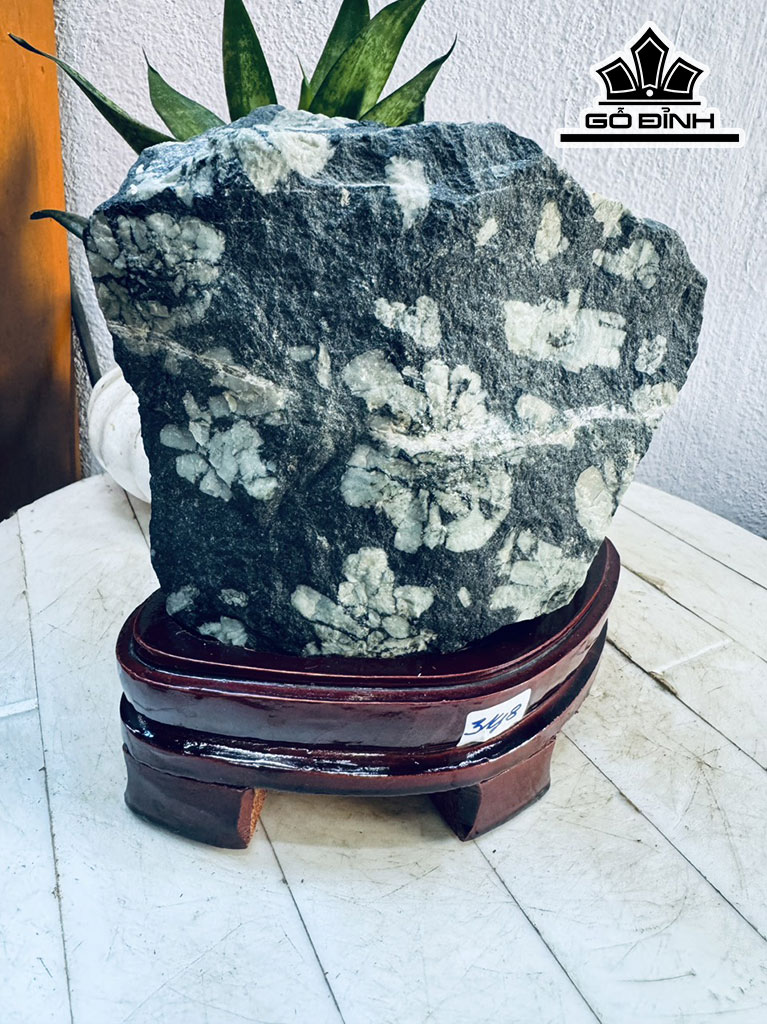 Tác Phẩm Hoa Cúc Hóa Thạch Cao 18 Ngang 17 (cm) 3,8kg