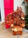 Bình Hoa Gỗ Hương Cao 68 Ngang 52 Sâu 40 (cm) - 9kg