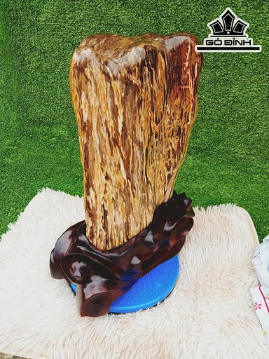 Tác Phẩm Gỗ Hóa Thạch Cao 43 Ngang 22 (cm) 17kg