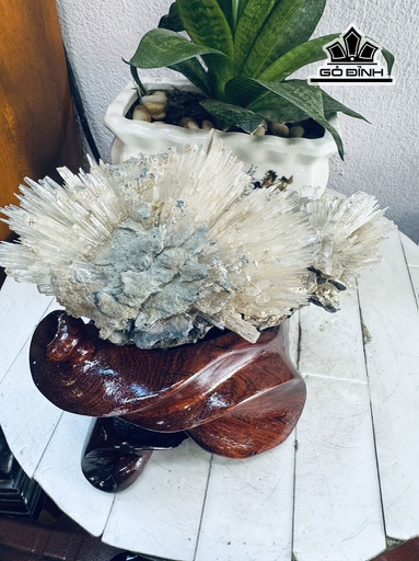 Bông Hoa Ưu Đàm Đá Trầm Tích Cao 20 Ngang 19 (cm) 2kg