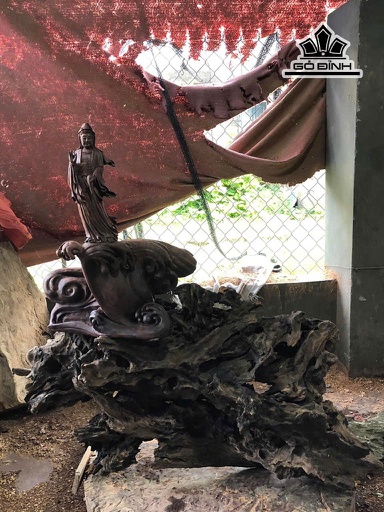 Tượng Phật Bà Quan Âm Gỗ Trắc Việt Đế Dưới Gỗ Lũa Đinh Hương Cao 80 Ngang 79 Sâu 29 (cm)